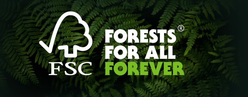 Что такое FSC или как мировые бренды используют древесину экологично?